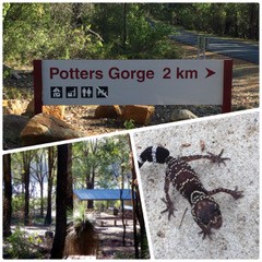 Potters Gorge