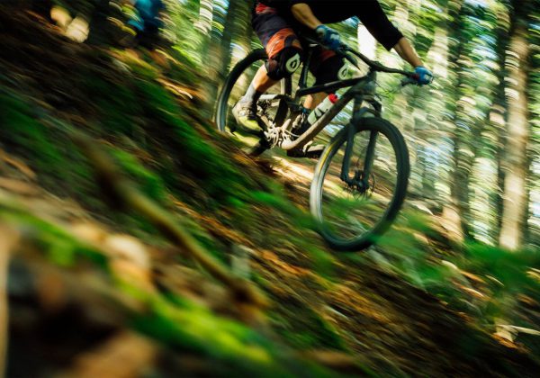 Downhill Racing at Wellington Mills