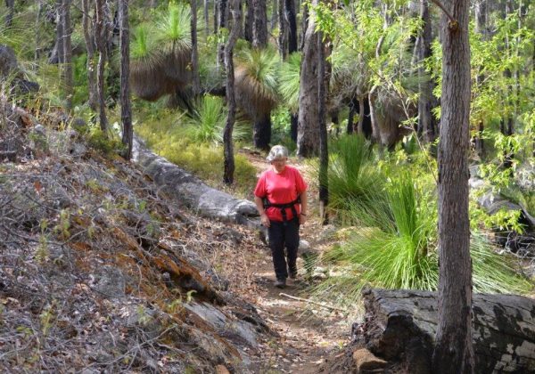 Wambenger Trails