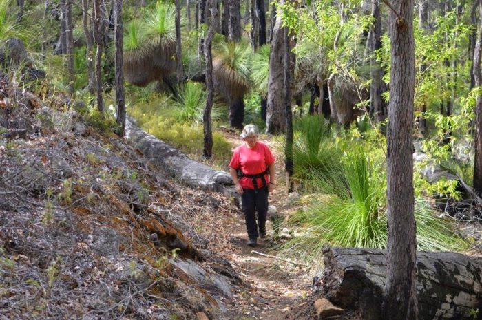 Wambenger Trails
